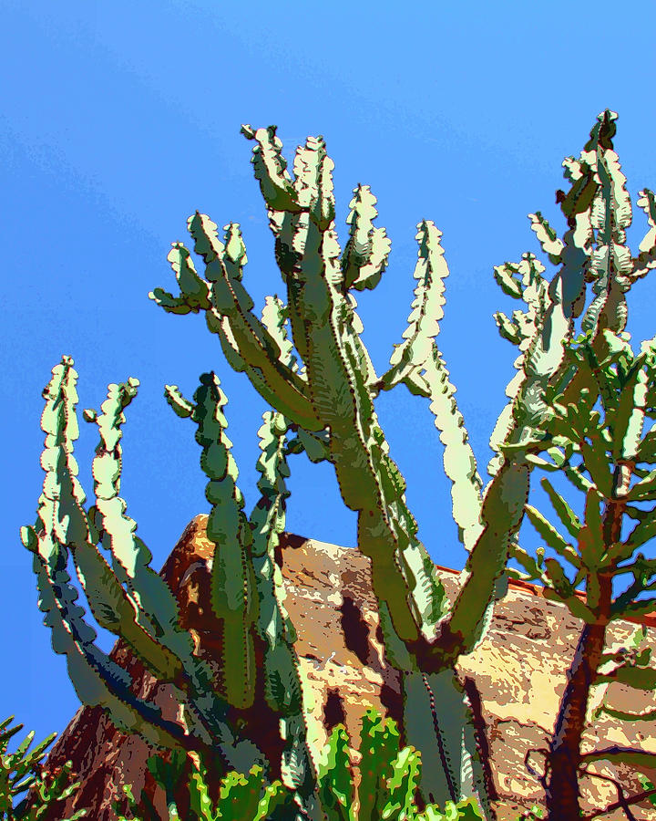 REACH FOR THE SKY Desert Hot Springs CA Photograph by William Dey