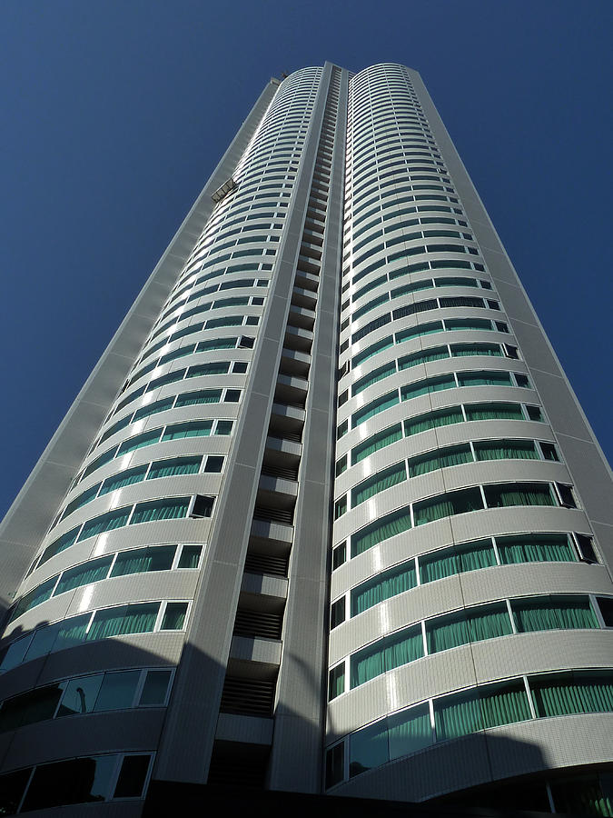 Reaching For The Sky Photograph by Baato Reaching For The Sky Photograph by Baato