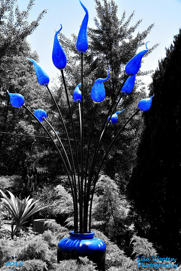 Vase Photograph - Reaching For The Sky Selective Coloring by Lisa Wooten