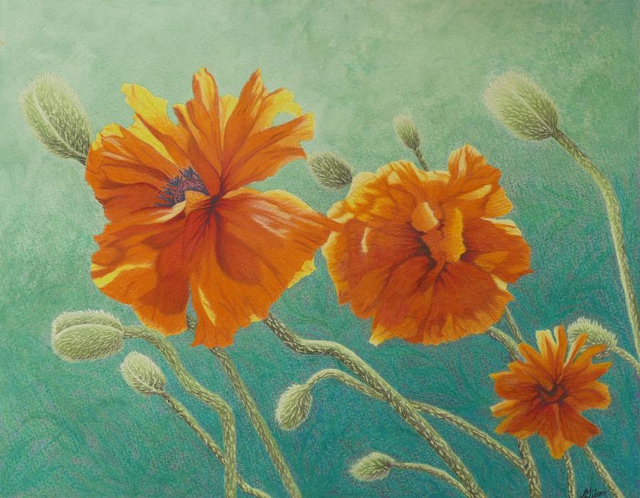 Poppy Painting - Reaching Out by Lisa Gibson Poppy Painting - Reaching Out by Lisa Gibson