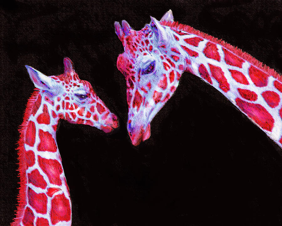 Read And Black Giraffes Digital Art by Jane Schnetlage