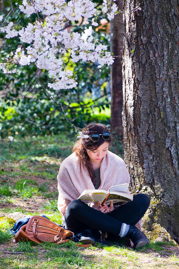 Reading Beneath the Cherry Blossoms Photograph by SR Green