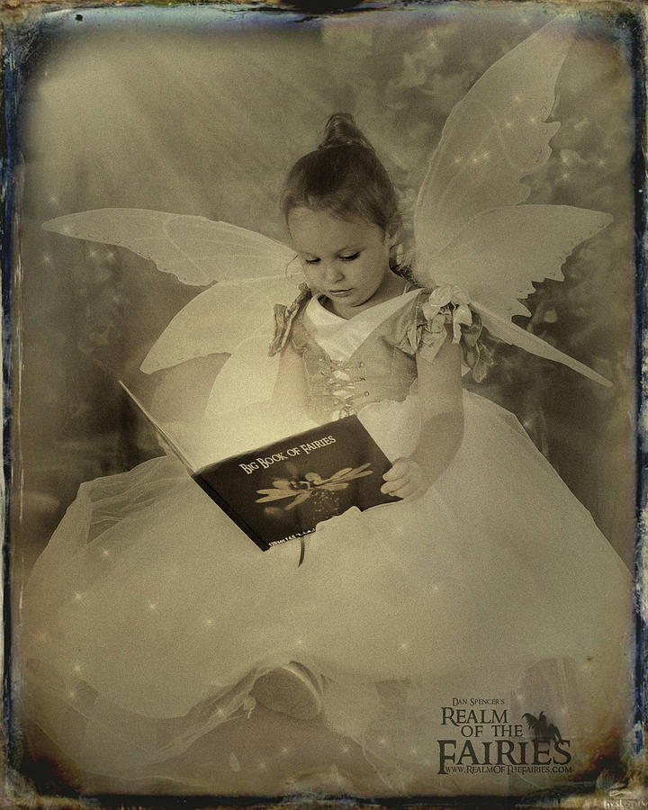 Reading Fairy Photograph by Dan Spencer