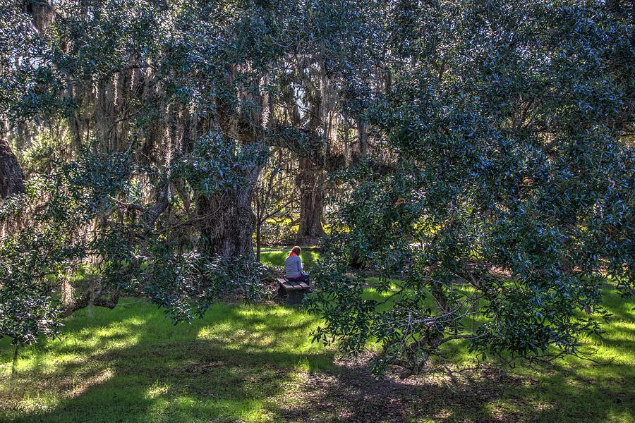 Reading In The Shade Of Live Oaks Photograph