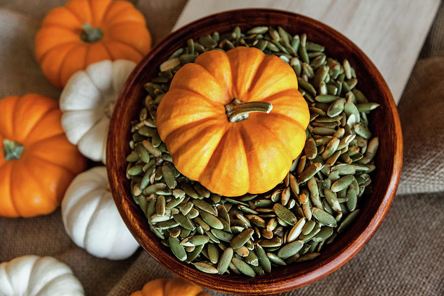 Ready For Fall by Evgeniya Lystsova Ready For Fall by Evgeniya Lystsova