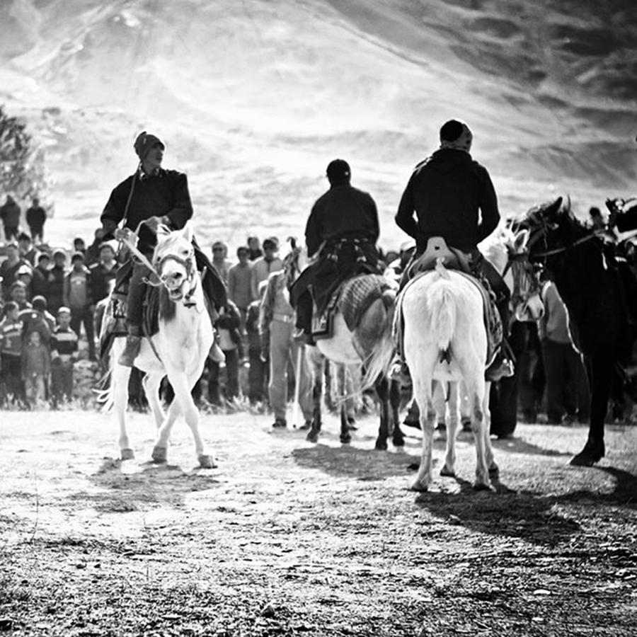 Horses Photograph - Ready To Ride by Aleck Cartwright Horses Photograph - Ready To Ride by Aleck Cartwright