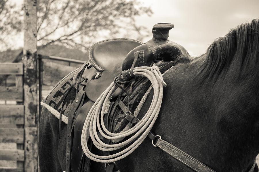 Ready to Rope Photograph by Obsidian DeLeau - Fine Art America