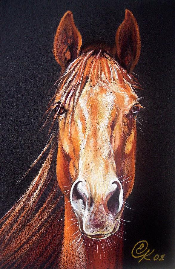 Horse Drawing - Ready to run by Elena Kolotusha