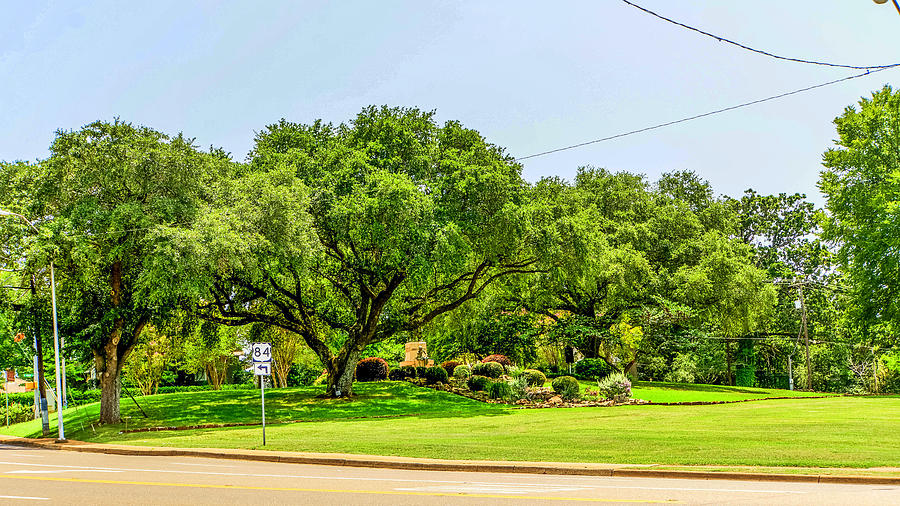 Reagan Park Photograph by Darrell Clakley - Fine Art America