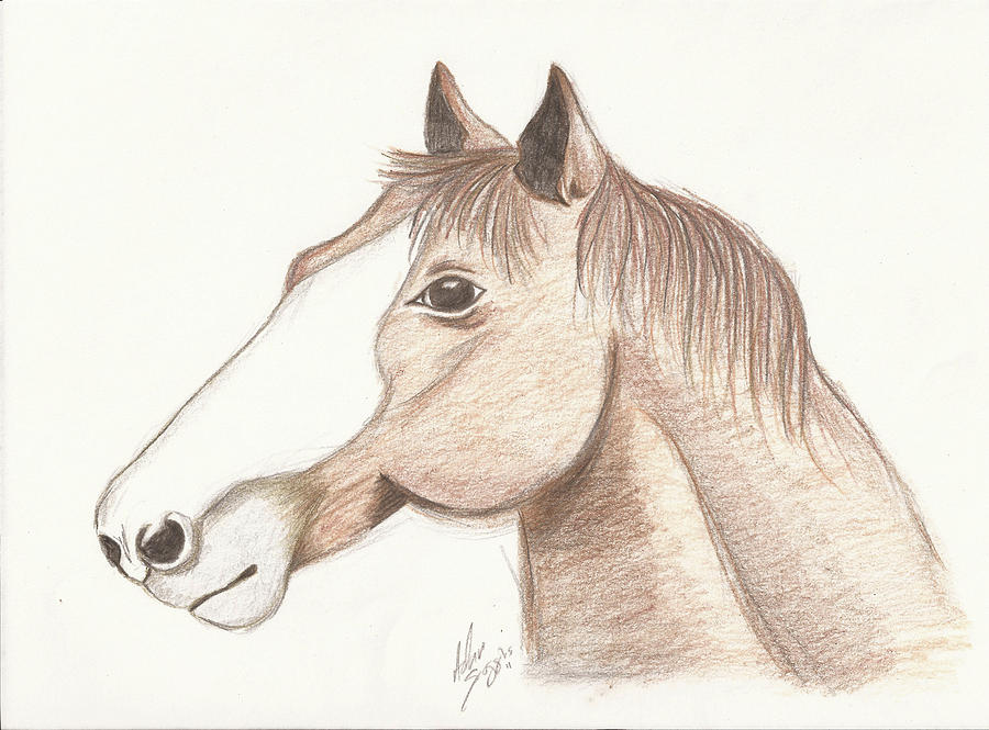 Real Horsepower Drawing by David Scoggins | Fine Art America