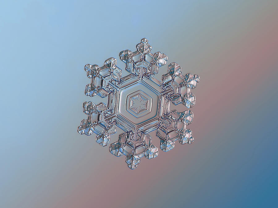 Real snowflake - 05-Feb-2018 - 1 Photograph by Alexey Kljatov
