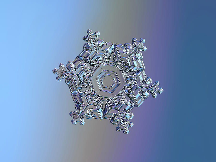 Real snowflake - 05-Feb-2018 - 11 Photograph by Alexey Kljatov