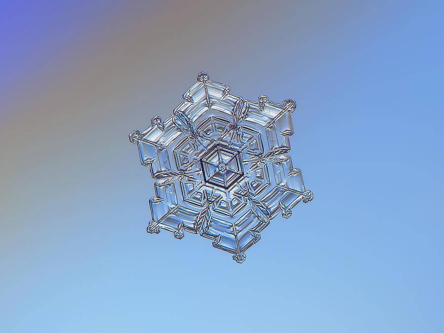 Real Snowflake - 05-feb-2018 - 2 Photograph