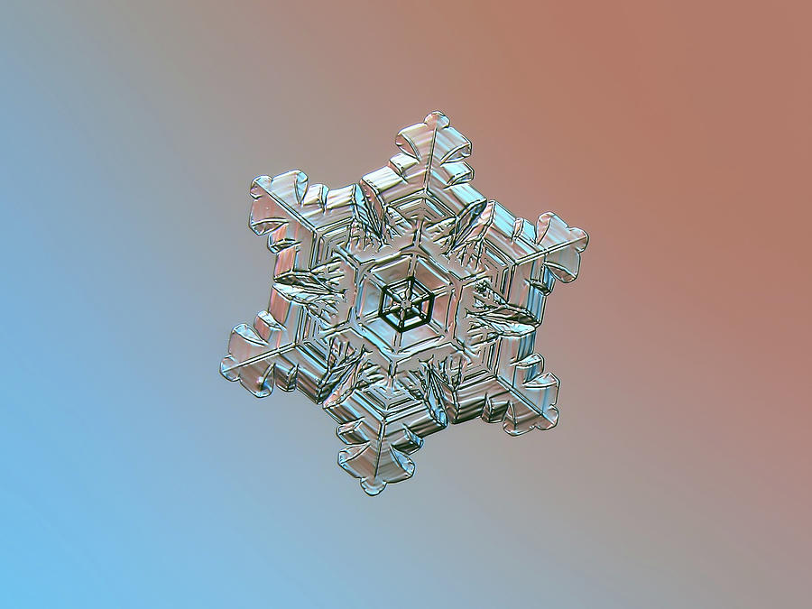 Real snowflake - 05-Feb-2018 - 3 Photograph by Alexey Kljatov