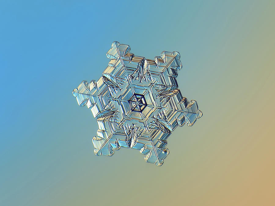 Real snowflake - 05-Feb-2018 - 3 alt Photograph by Alexey Kljatov
