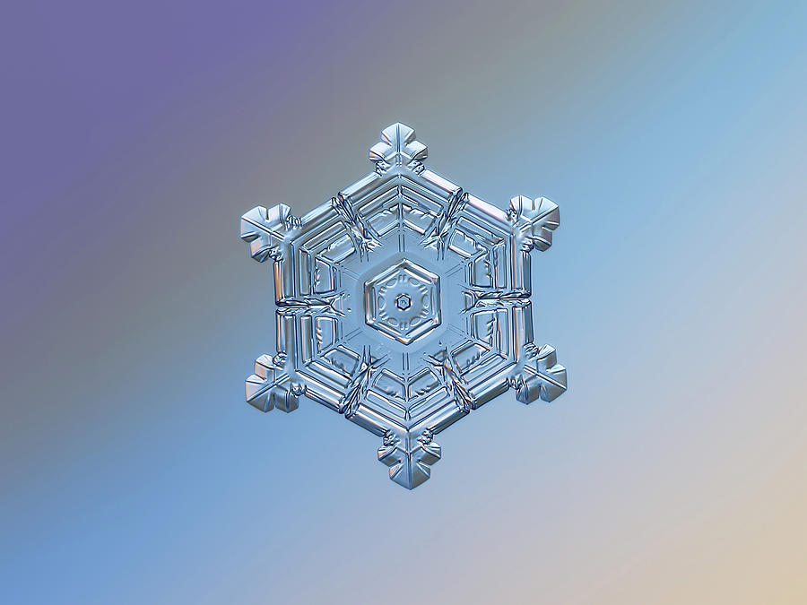 Real snowflake - 05-Feb-2018 - 4 Photograph by Alexey Kljatov