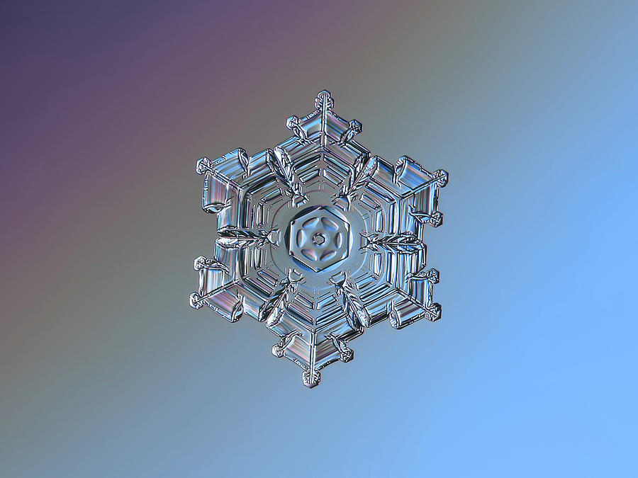Real snowflake - 05-Feb-2018 - 7 Photograph by Alexey Kljatov