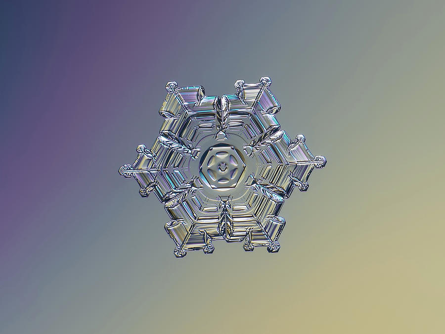 Real snowflake - 05-Feb-2018 - 7 alt Photograph by Alexey Kljatov