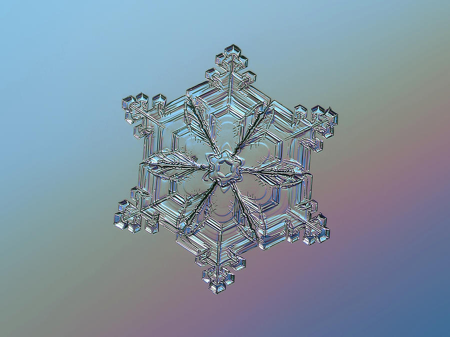 Real snowflake - 05-Feb-2018 - 8 Photograph by Alexey Kljatov