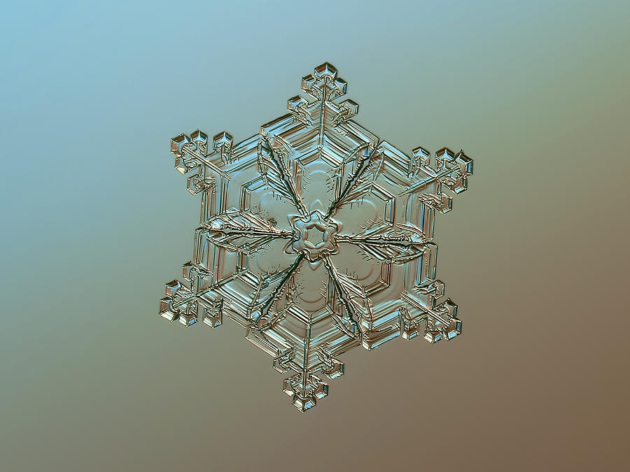 Real snowflake - 05-Feb-2018 - 8 alt Photograph by Alexey Kljatov