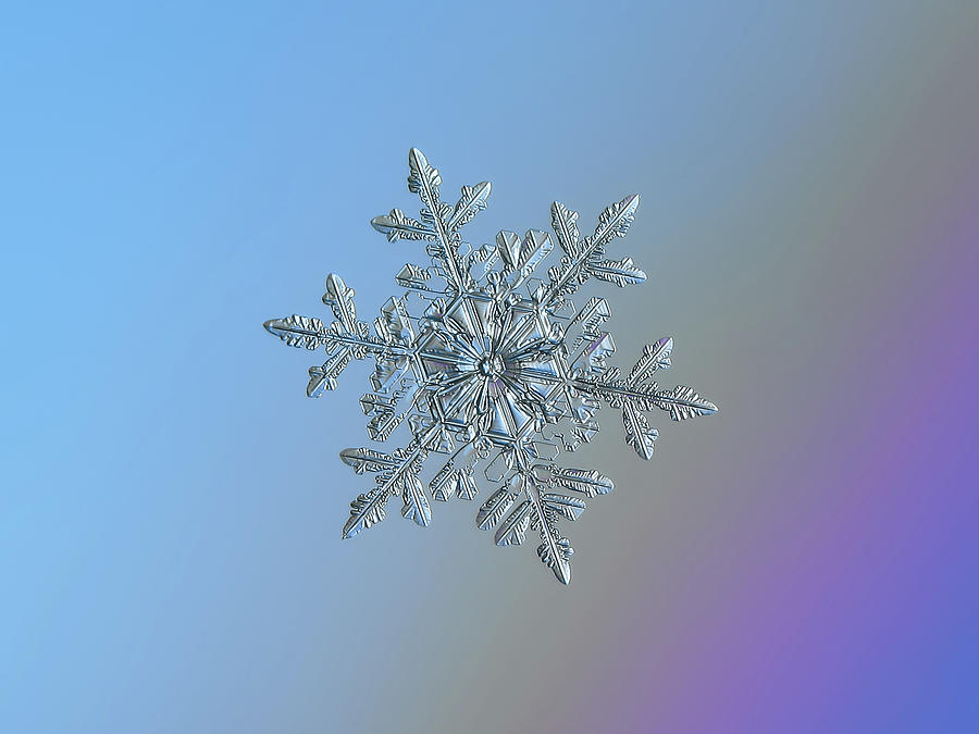 Real snowflake - 21-Feb-2018 - 1 Photograph by Alexey Kljatov
