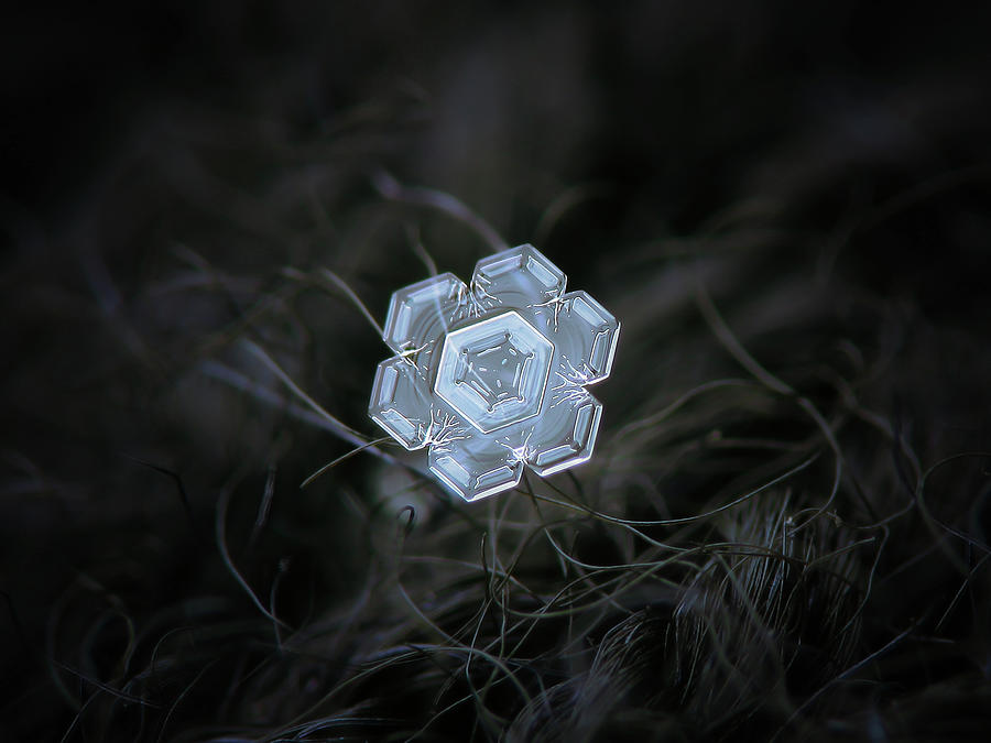 Real snowflake - 29-Jan-2018 - 1 Photograph by Alexey Kljatov