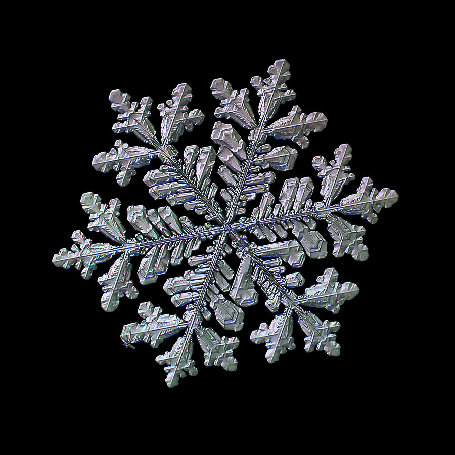 Real snowflake - Hyperion black Photograph by Alexey Kljatov