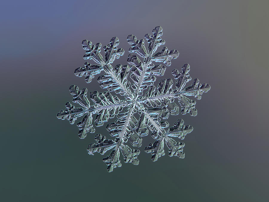 Real snowflake - Hyperion dark Photograph by Alexey Kljatov