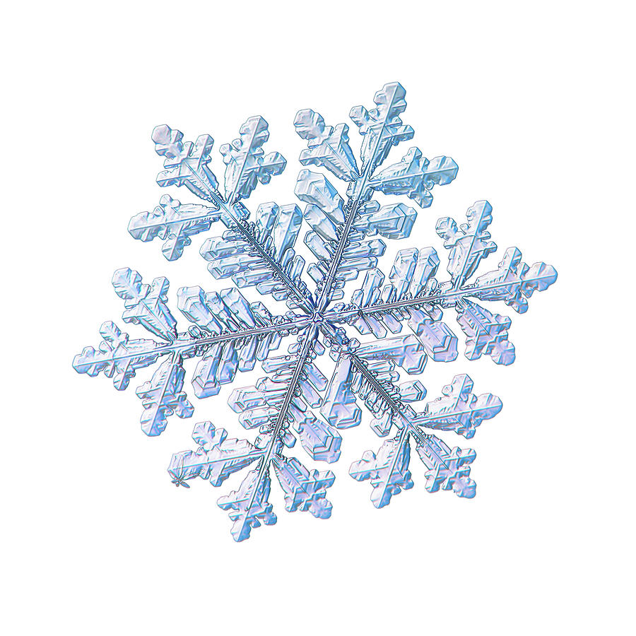 Real snowflake - Hyperion white Photograph by Alexey Kljatov