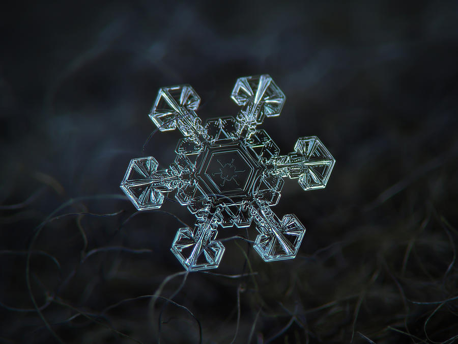 Real snowflake - Ice crown new Photograph by Alexey Kljatov