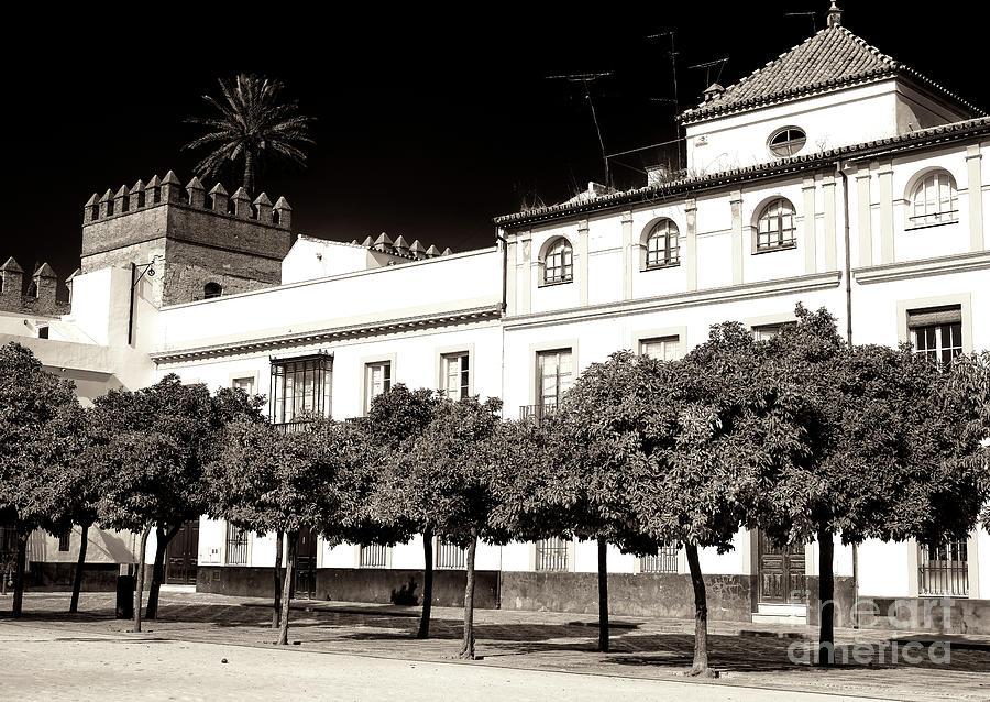 Reales Alcazares de Sevilla Courtyard Photograph by John Rizzuto