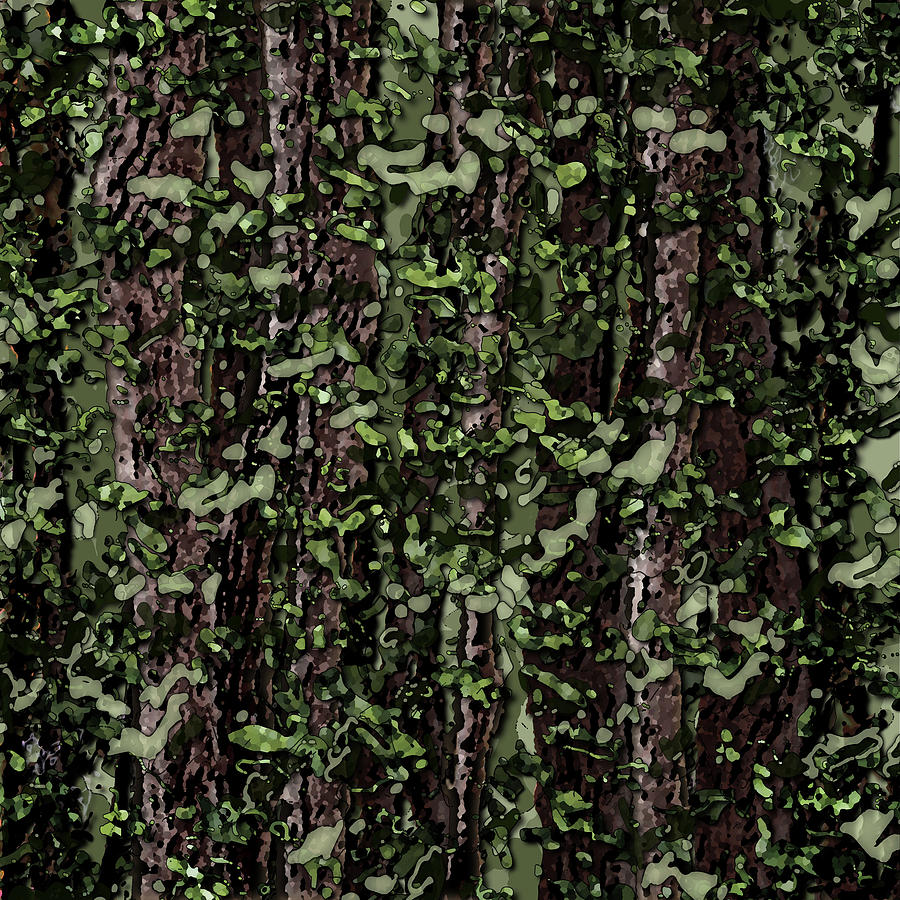 Forest Camouflage Patterns