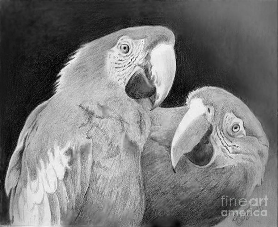 Wildlife Drawing - Really OMG by Suzanne Schaefer