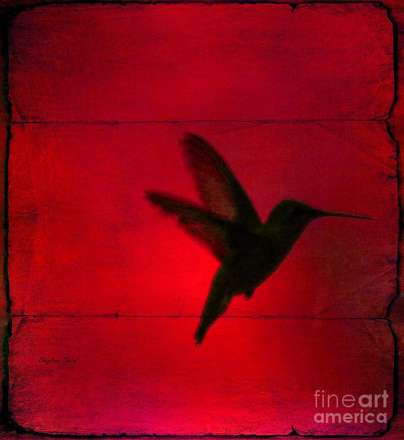 Really Red Hummingbird Behind The Blinds Photograph