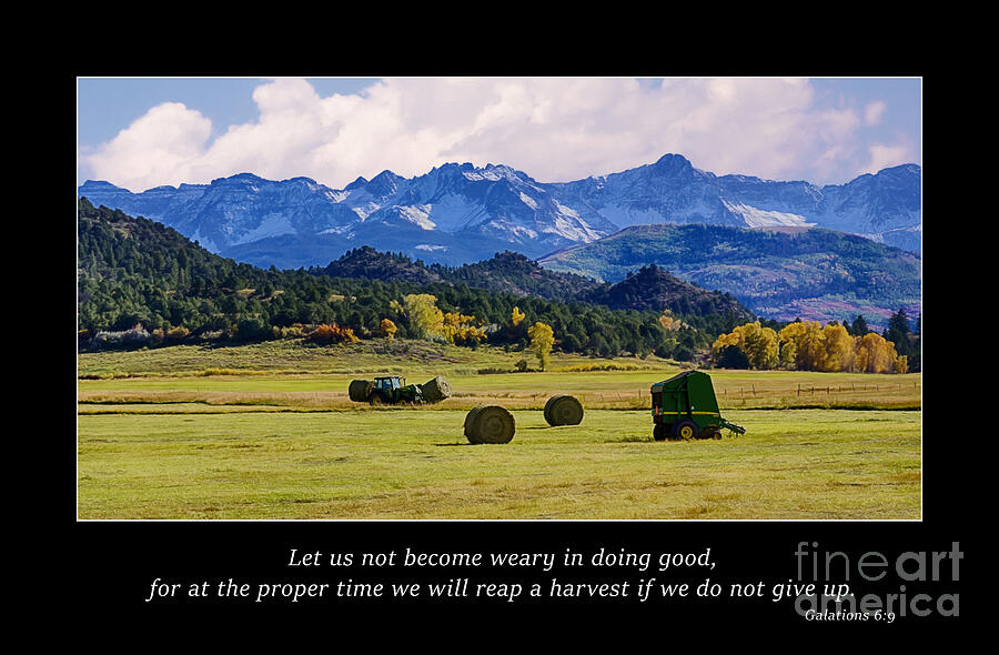 Farm Photograph - Reap a Harvest by Priscilla Burgers