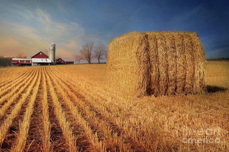 Barn Photograph - Reap the Harvest by Lori Deiter