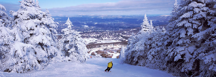 Nature Photograph - Rear View Of A Person Skiing, Stratton by Panoramic Images