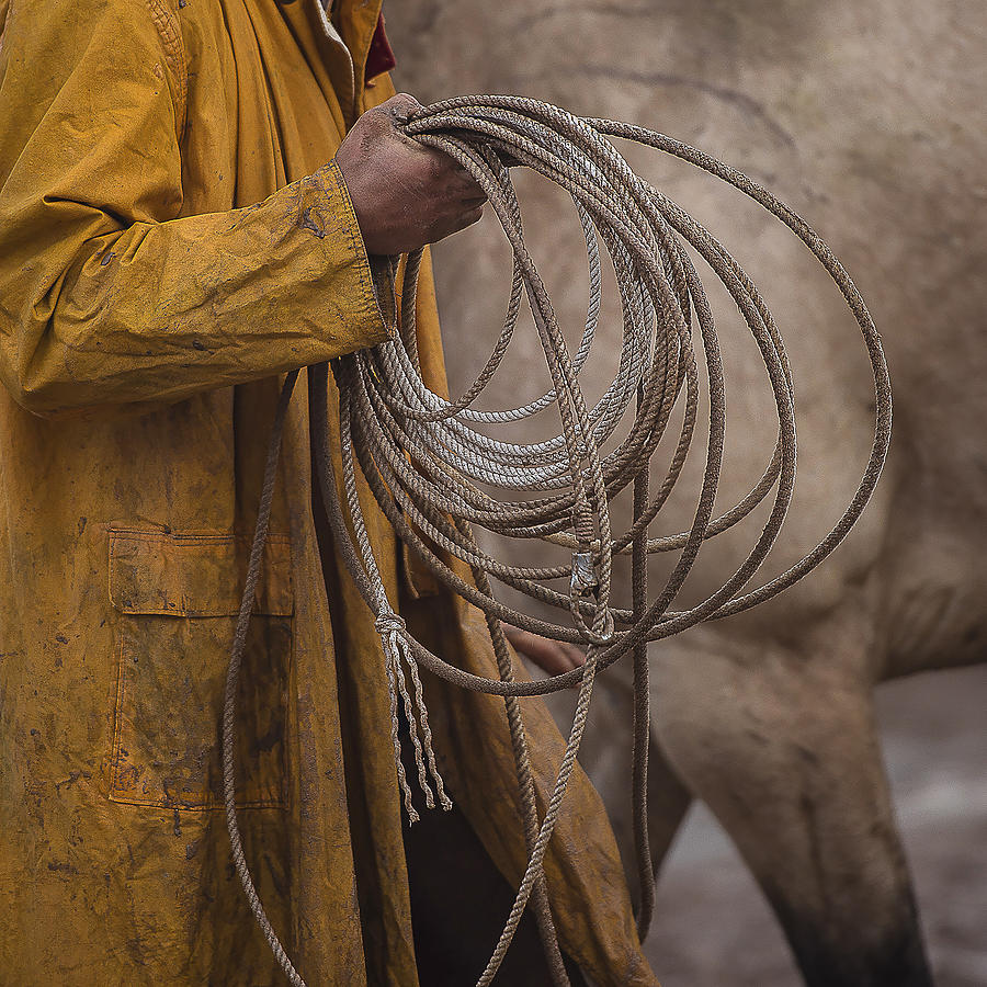 Cowboy Photograph - Reata 2 by Pamela Steege