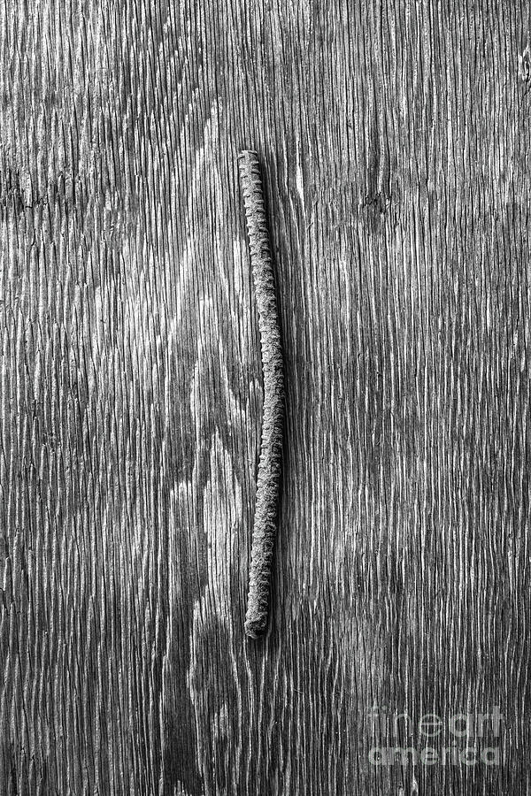 Architecture Photograph - Rebar on Wood BW by YoPedro