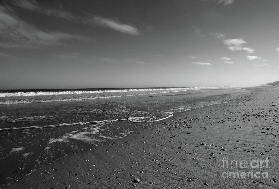 Receding Tide BW Photograph by Mary Haber