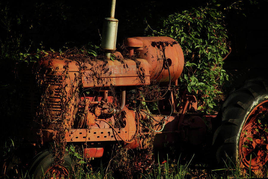 Reclaimed Farmall Tractor Photograph by Eugene Campbell