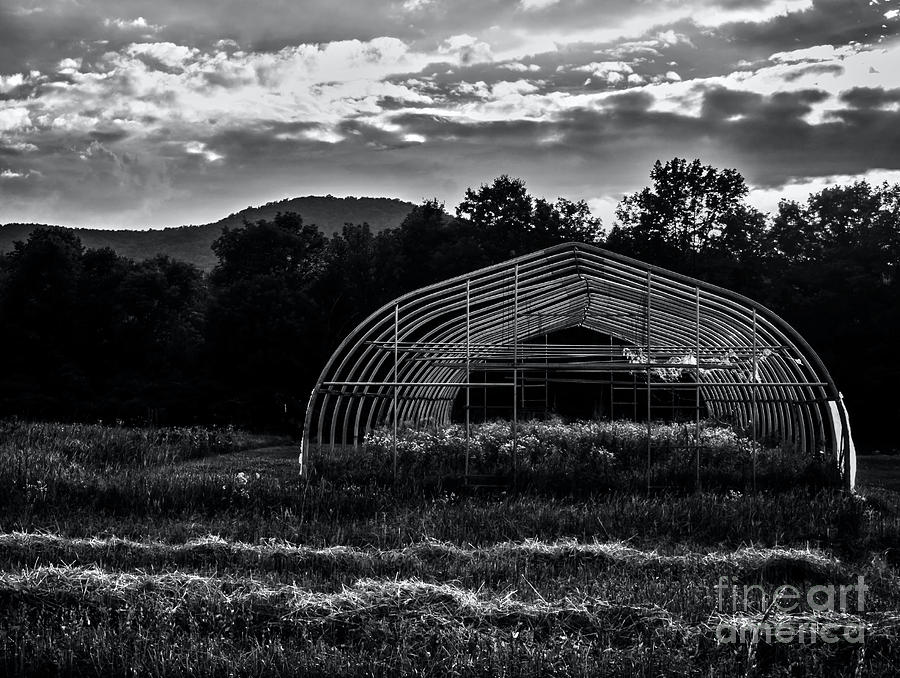 Reclaimed Greenhouse 2 Photograph by James Aiken