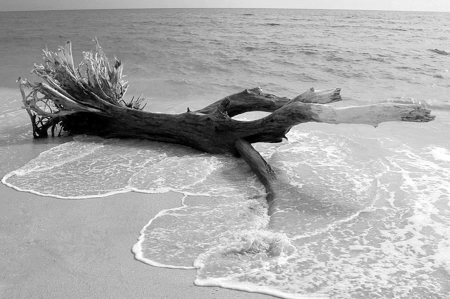 Reclining at the Beach Photograph by Robert Wilder Jr