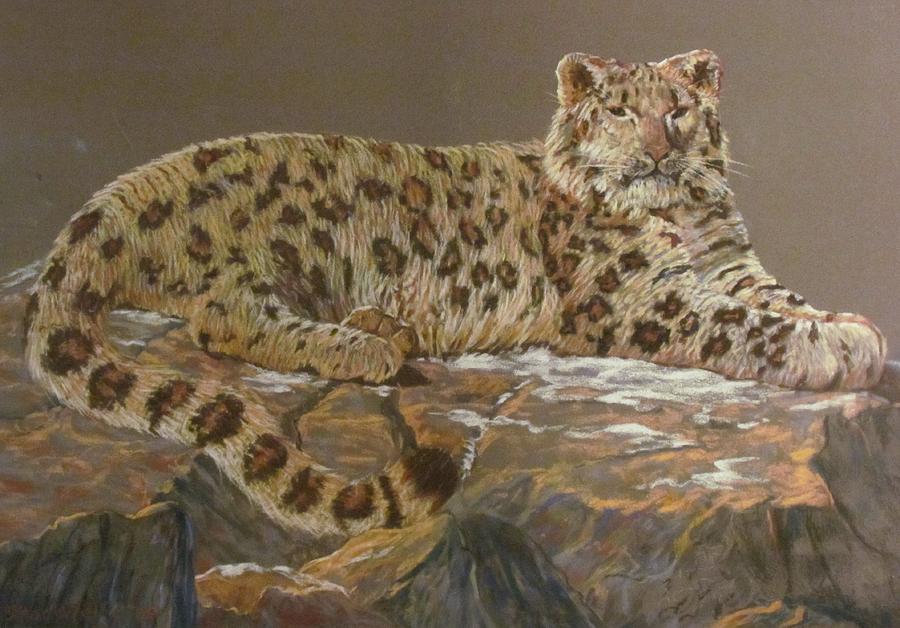 Reclining Snow Leopard Painting by Michael Stockwell | Fine Art America