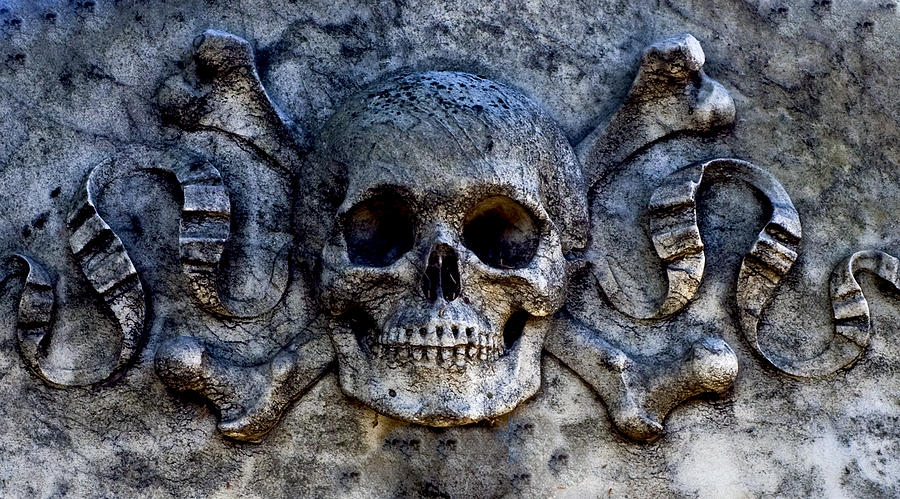 Recoleta Skull Photograph by Rob Tullis
