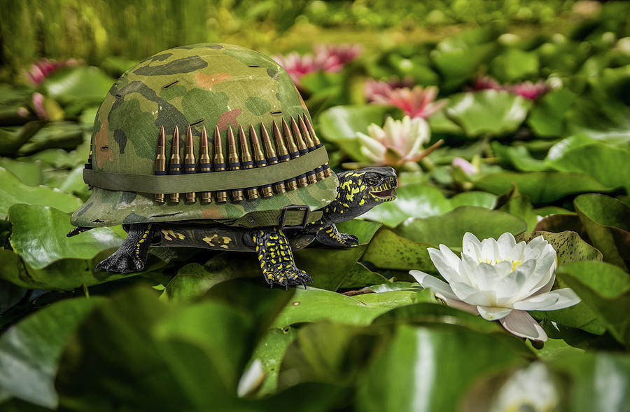 Turtle Digital Art - Reconstituted War by Randy Turnbow