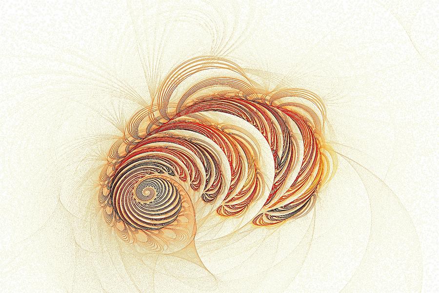 Recursive Nautilus Digital Art by Doug Morgan