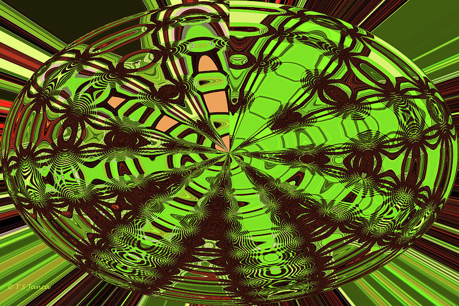 Recycled Pink Plate Abstract Digital Art by Tom Janca