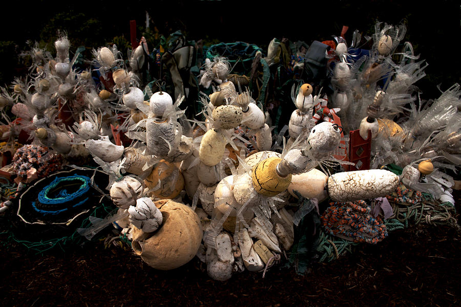 Recycling Art Photograph by Ivete Basso Photography