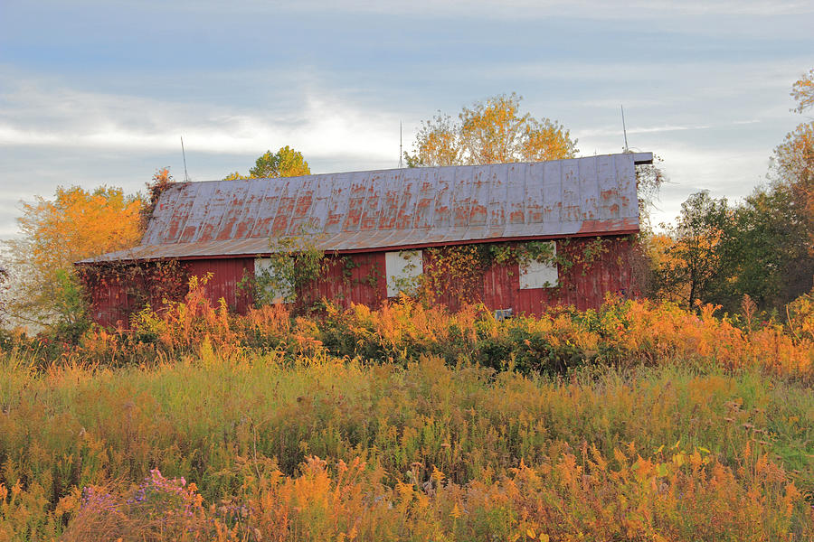 Red Abandoned Barn Photograph by Angela Murdock